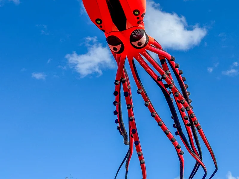 Oktopus