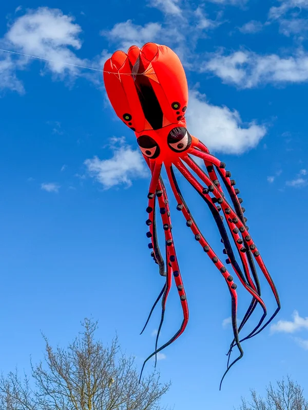 Oktopus